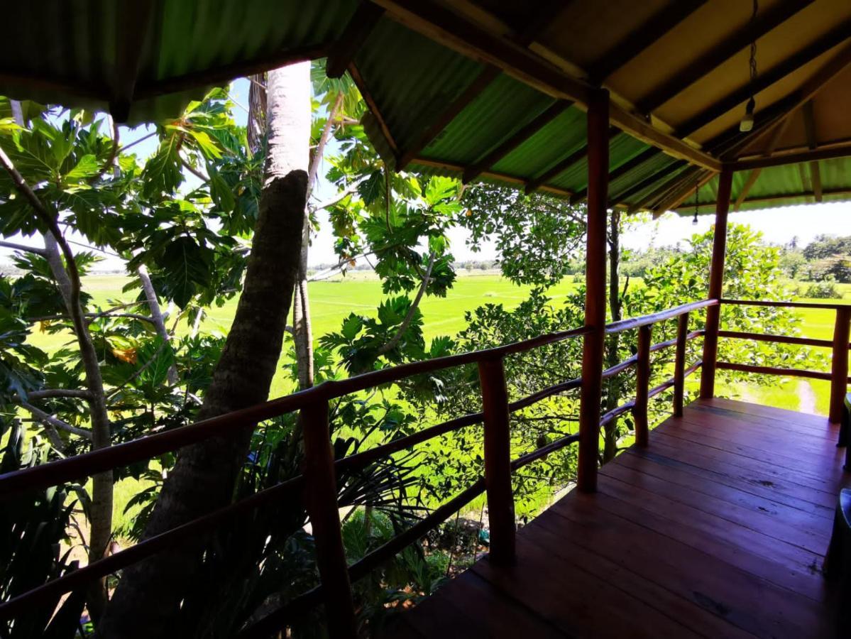 Lake Side View Cabana Tissamaharama Extérieur photo
